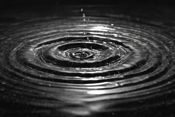 Water droplet impact ripples