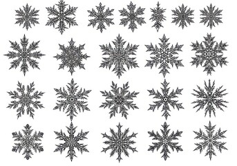 A set of twenty unique snowflake designs isolated on white background showcases intricate winter patterns