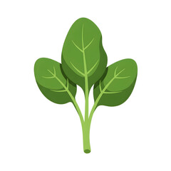 Spinach Leaf Illustration on Black Background png, isolated on transparent background