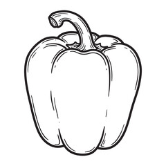 Detailed black and white vector illustration of a fresh bell pepper isolated on white background