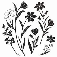 Elegant black and white floral silhouettes on a clean white background artwork