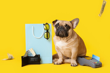 Cute French bulldog sitting near shopping bag, sunglasses, payment terminal and wallet with money...