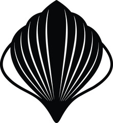 seashell vector illustration