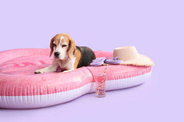 Cute dog on inflatable mattress in shape of heart on lilac background
