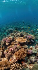 Naklejka premium Vibrant coral reef teeming with colorful fish under clear blue ocean water