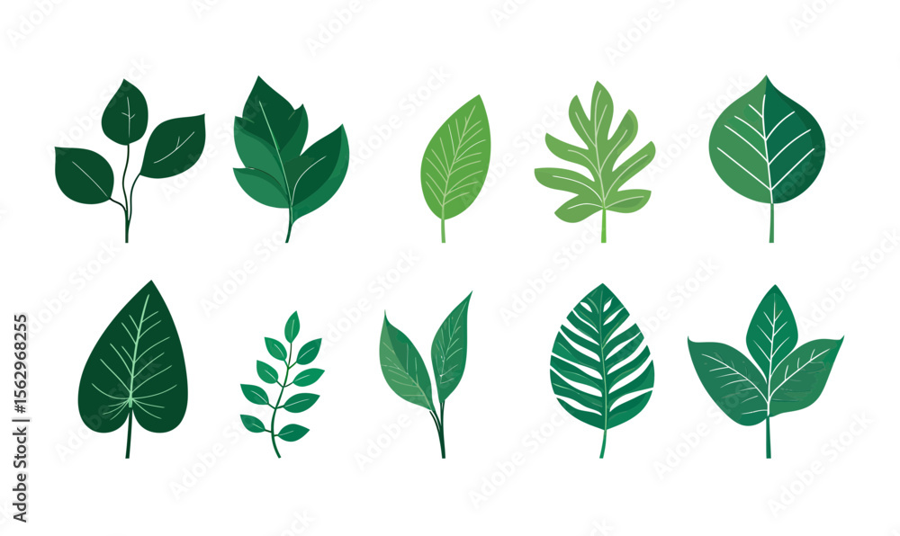 Poster set of ten different individual green leaf icons with various shapes and vein patterns isolated on w