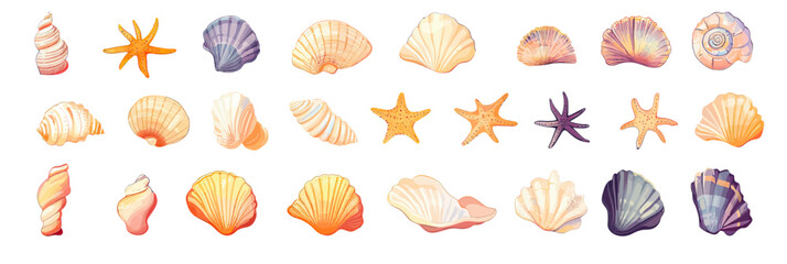 Obraz premium Cartoon colorful seashells and starfish collection ocean marine shellfish mollusk tropical beach flat vector set isolated on white background illustration