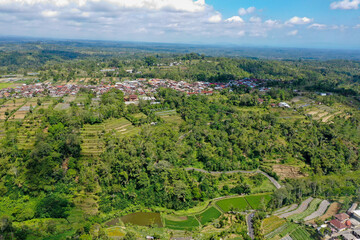 Sloped Rice Terraces and Traditional Balinese Houses with Tiled Roofs