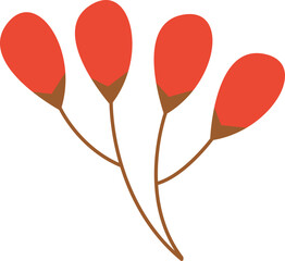 A cluster of red autumn berries is isolated on white background, representing the fall season