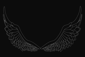 Black and white angel wings with intricate details stand out against a dark background. The stark contrast highlights the unique shape and texture of each wing.