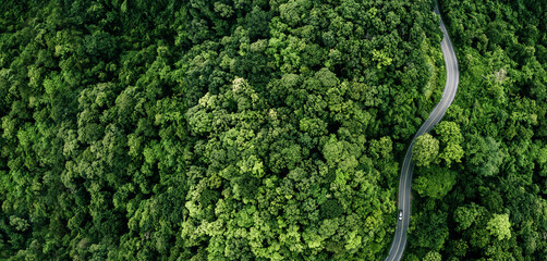 Top view road in beautiful autumn forest at sunset, trees with red and orange leaves , Beautiful landscape view from flying drone in Nature