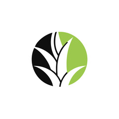 Aloe Vera logo vector icon concept