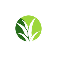 Aloe Vera logo vector icon concept