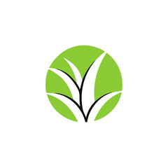 Aloe Vera logo vector icon concept