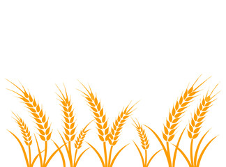 Agriculture wheat vector Illustration design template - Vector