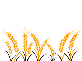 Agriculture wheat vector Illustration design template - Vector