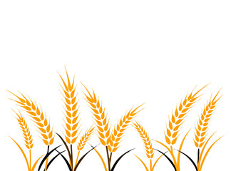 Agriculture wheat vector Illustration design template - Vector
