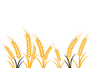 Agriculture wheat vector Illustration design template - Vector