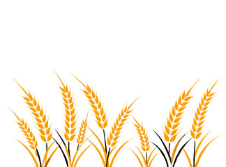 Agriculture wheat vector Illustration design template - Vector