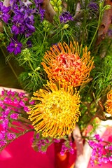 Protea flowers in vivid yellow and orange. Phoenix, Arizona.