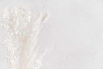 Soft and airy bouquet of dried white flowers, pampas grass and plants floral arrangement in neutral...