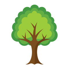 Obraz premium A detailed vector icon of an elm tree with a wide, spreading crown, symbolizing strength, longevity, and a classic landscape feature.