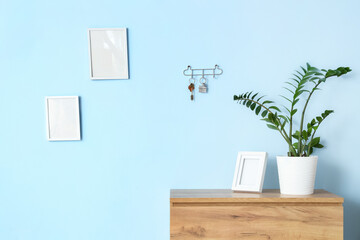 Interior of stylish hall with chest of drawers and key holder on blue wall