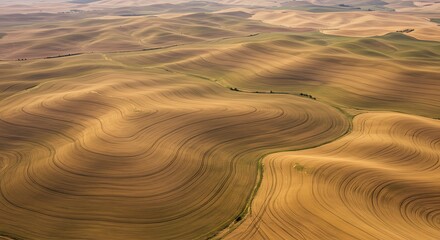 Fototapeta premium Aerial View of Rolling Wheat Fields with Wavy Lines and Shadows