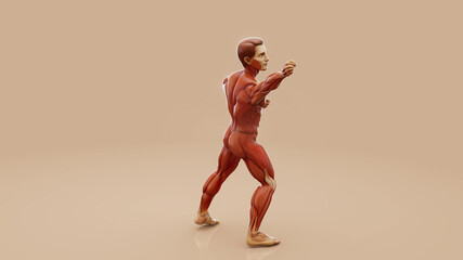 Conceptual 3D illustration of a man's anatomy
