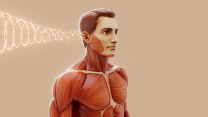 Conceptual 3D illustration of a man's anatomy and hearing sense