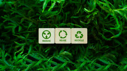 Reduce, reuse and recycle symbol on wooden blocks amidst green grass. Ecological concept. Ecological metaphor for ecological waste management.