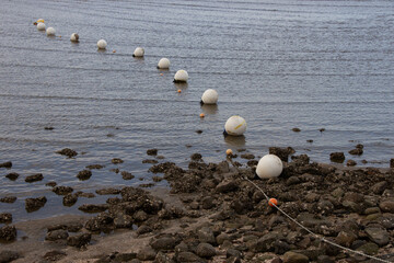 White spherical buoys floating in a line into the Baltic Sea on the northern coast of Germany. Calm...