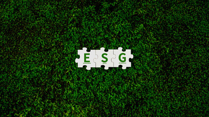 ESG Concepts for Environment, Society and Governance in Sustainable and Ethical Business Operations ESG on the Jigsaw Puzzle Environmental Organizations Sustainable Development