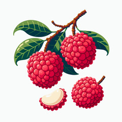Digital graphic design featuring three whole lychees and a slice, set against a bright white background.  The fruit is depicted with vibrant colors and detailed textures.