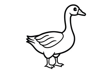 Black and white goose standing, its mouth slightly open, on a white background