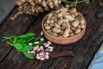Peanuts in a peel in a wooden bowl. peeled peanut on peanut group on wooden bowl.