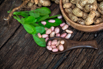 Peanuts in a peel in a wooden bowl. peeled peanut on peanut group on wooden bowl.