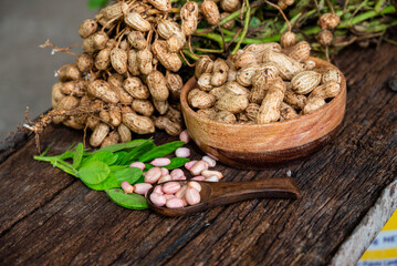 Peanuts in a peel in a wooden bowl. peeled peanut on peanut group on wooden bowl.