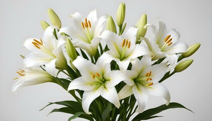 Obraz premium A captivating display of pure white lilies, showcasing their elegance and natural beauty.