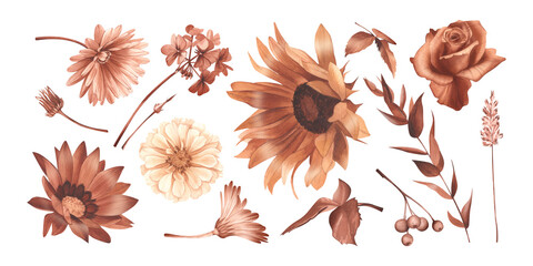 Collection of flowers and leaves in shades of brown watercolor illustration. Autumn floral clip art in terracotta color. Garden bouquet of sunflower, calendula, geranium, berries, wild herbs and roses