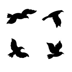 silhouette of flying bird with various movement positions