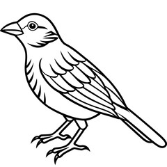 Obraz premium Yellowhammer Outline Bird Vector Design