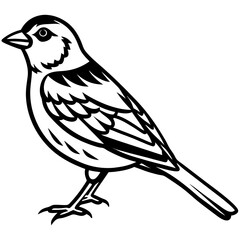 Yellowhammer Outline Bird Vector Design