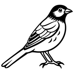 Yellowhammer Outline Bird Vector Design