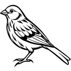 Yellowhammer Outline Bird Vector Design