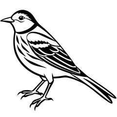 Yellowhammer Outline Bird Vector Design