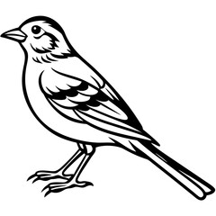 Yellowhammer Outline Bird Vector Design
