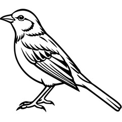 Yellowhammer Outline Bird Vector Design