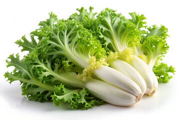 Endive