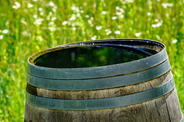 Wooden barrel resting beside vibrant green cabbage plants in a rustic garden setting during sunny...